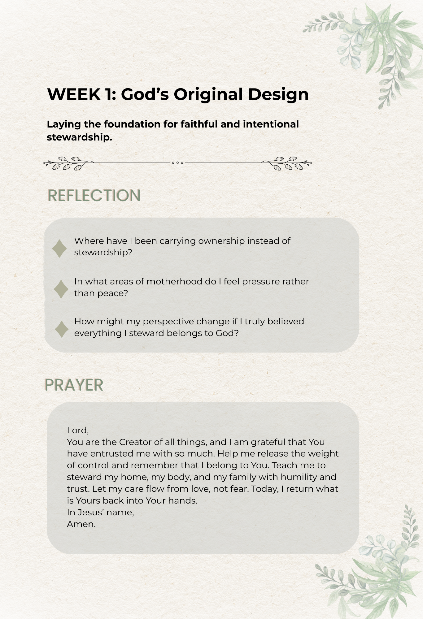 Rooted In His Design: 30 Day Devotional (Preorder PDF Version)